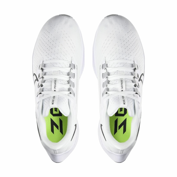 Nike Air Zoom Pegasus 38